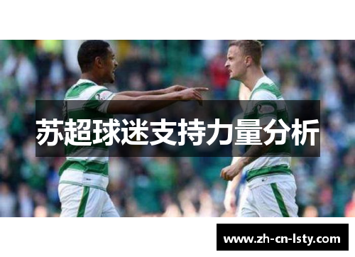 苏超球迷支持力量分析 苏超球迷支持力量分析